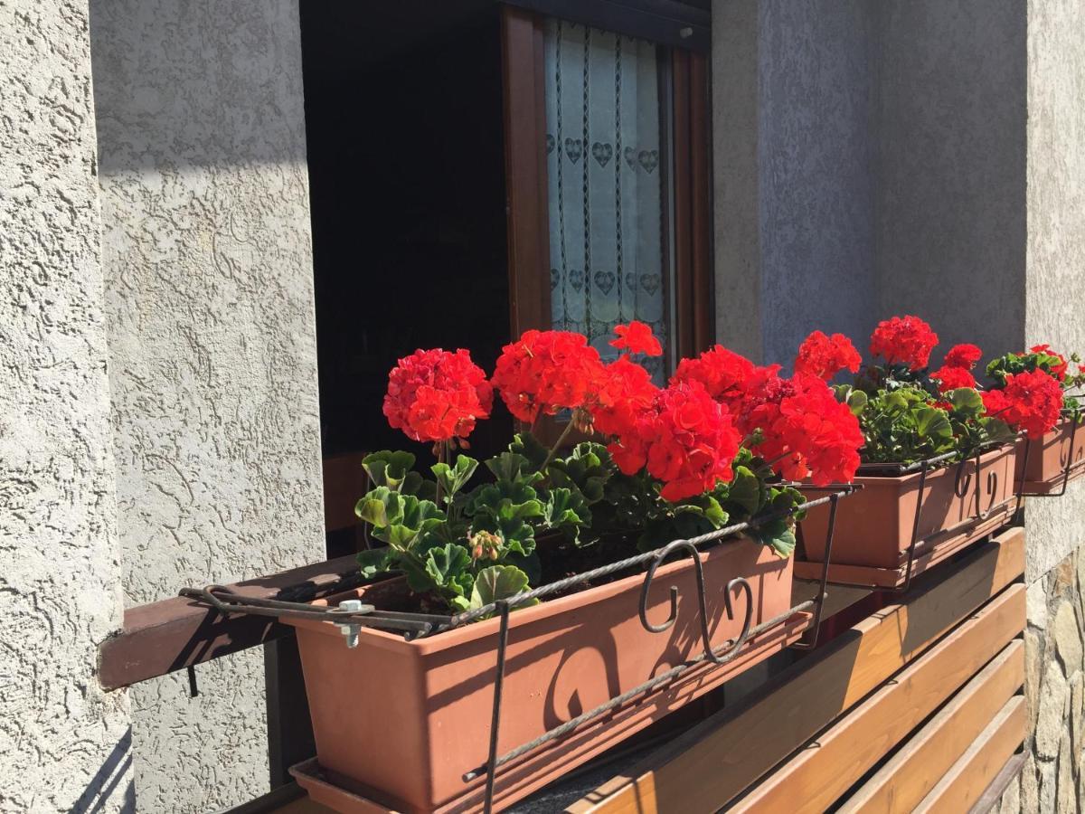Вилла Residenza In Zona Pontedilegno T02034 Villa d'Allegno Экстерьер фото